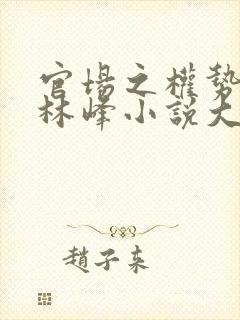 官场之权势滔天林峰小说大结局
