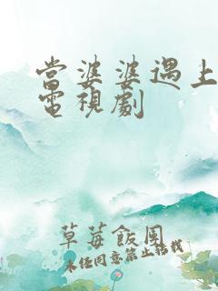 当婆婆遇上妈 电视剧