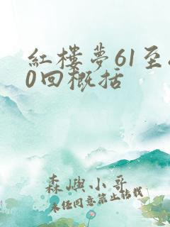 红楼梦61至80回概括