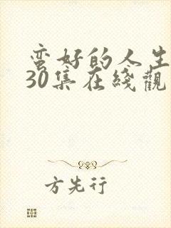 蛮好的人生免费30集在线观看