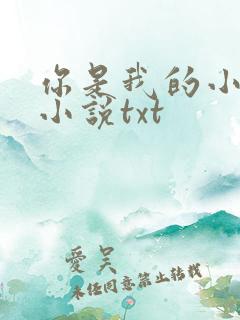 你是我的小确幸小说txt