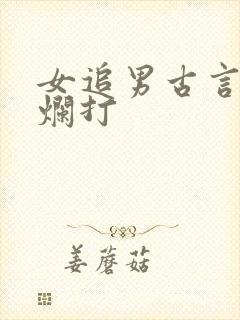 女追男古言死缠烂打