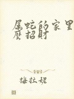 属蛇的家里摆什么招财