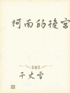柯南的后宫 柯南的后宫