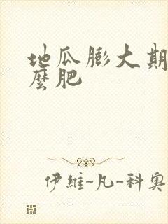 地瓜膨大期施什么肥 地瓜膨大期施什么肥