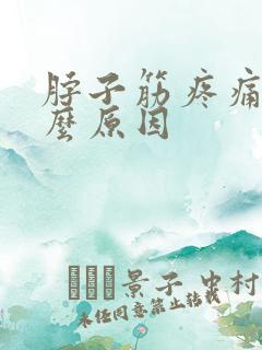 脖子筋疼痛是什么原因