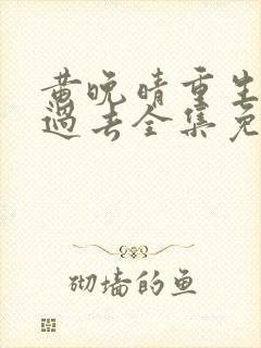 黄晚晴重生回到过去全集免费观看