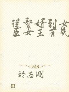 从赘婿到女帝宠臣女主有几个