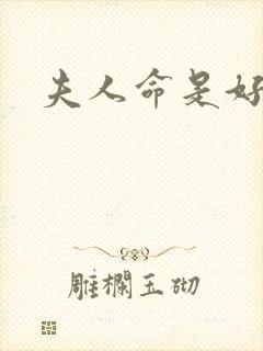 夫人命是好命吗