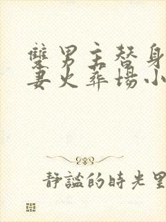 双男主替身梗追妻火葬场小说