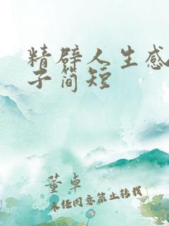 精辟人生感悟句子简短