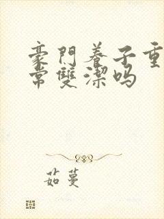 豪门养子重生日常双洁吗