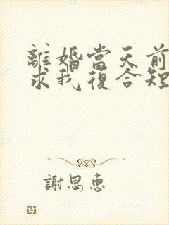 离婚当天前夫跪求我复合短剧免费观看
