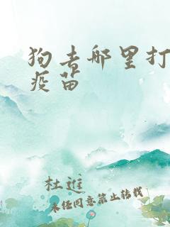 狗去哪里打狂犬疫苗 狗去哪里打狂犬疫苗