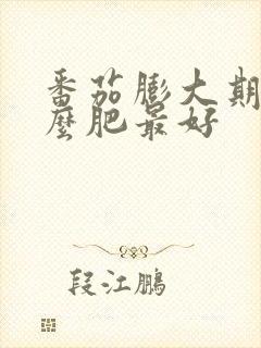 番茄膨大期追什么肥最好