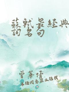 苏轼最经典的诗词名句