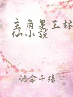 主角是王林的修仙小说