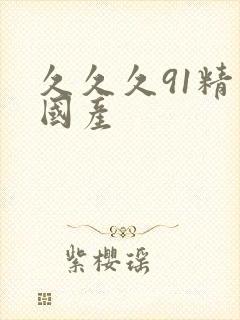 久久久91精品国产