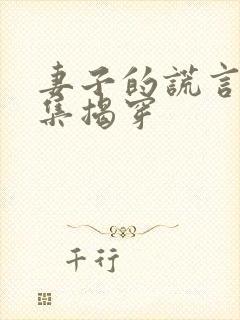 妻子的谎言多少集揭穿
