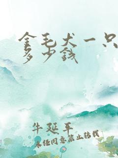 金毛犬一只幼犬多少钱