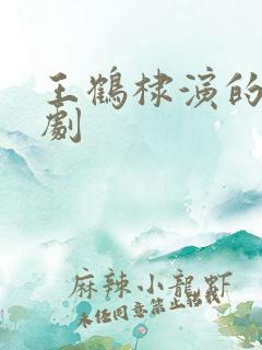 王鹤棣演的电视剧 王鹤棣演的电视剧
