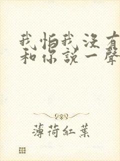 我怕我没有机会和你说一声再见是什么歌