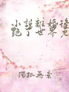 小说离婚后她惊艳了世界免费看全文