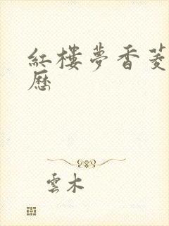 红楼梦香菱的经历