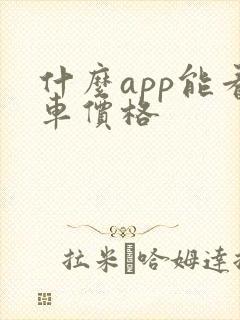 什么app能看车价格