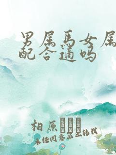 男属马女属鼠婚配合适吗