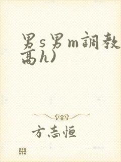 男s男m调教(高h)
