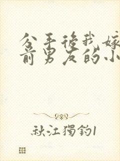 分手后我嫁给了前男友的小叔