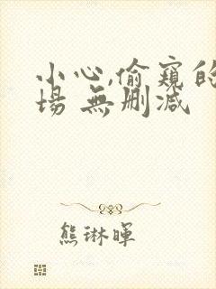 小心,偷窥的下场 无删减