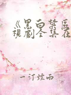 《黑白禁区》电视剧全集在线观看免费