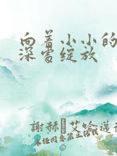 向着小小的花蕾深处绽放