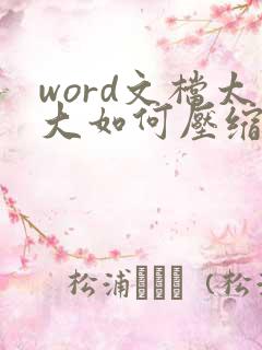 word文档太大如何压缩变小