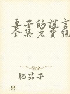 妻子的谎言短剧全集免费观看