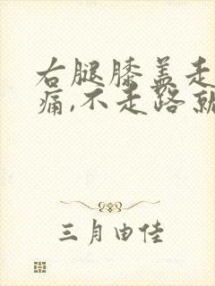 右腿膝盖走路疼痛,不走路就不痛