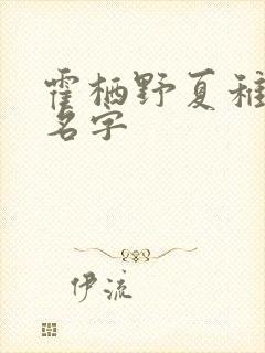 霍栖野夏稚小说名字 霍栖野夏稚小说名字