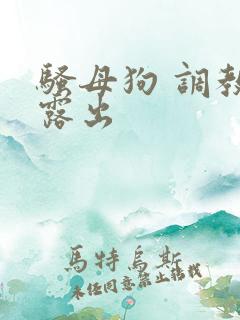 骚母狗 调教 露出