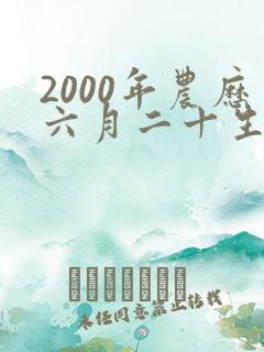 2000年农历六月二十生辰八字