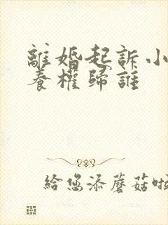 离婚起诉小孩抚养权归谁