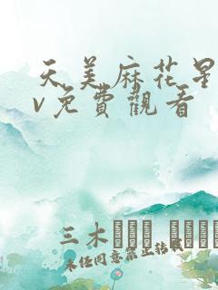 天美麻花星空mv免费观看