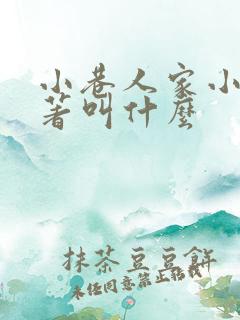 小巷人家小说原著叫什么