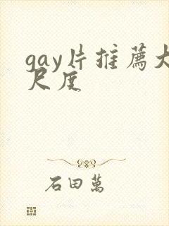 gay片推荐大尺度