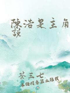 陈浩是主角的小说