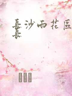 长沙雨花区副区长