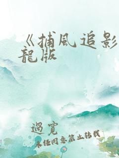 《捕风追影》成龙版