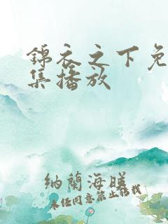 锦衣之下免费全集播放