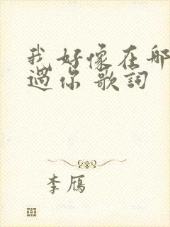 我好像在哪里见过你 歌词 我好像在哪里见过你 歌词